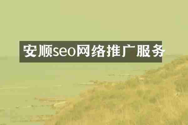 安顺seo网络推广服务