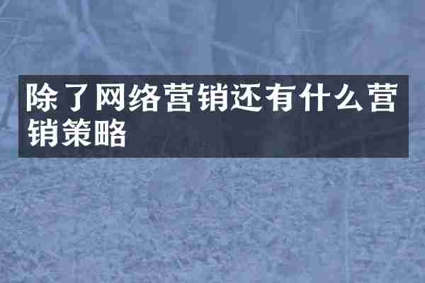 除了网络营销还有什么营销策略