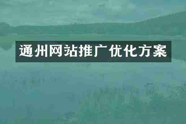 通州网站推广优化方案