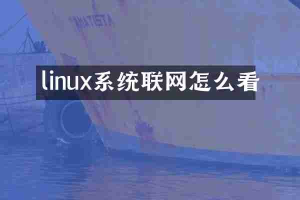linux系统联网怎么看