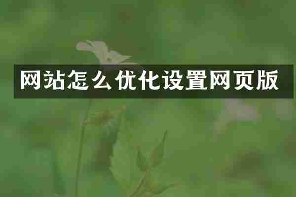 网站怎么优化设置网页版