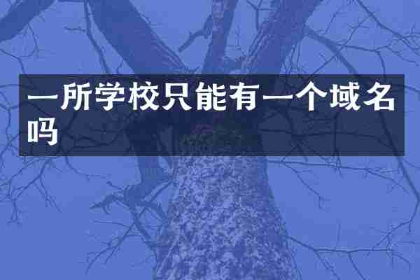 一所学校只能有一个域名吗