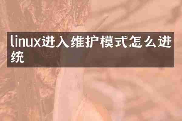 linux进入维护模式怎么进系统