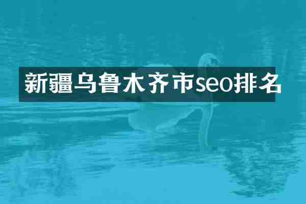 新疆乌鲁木齐市seo排名