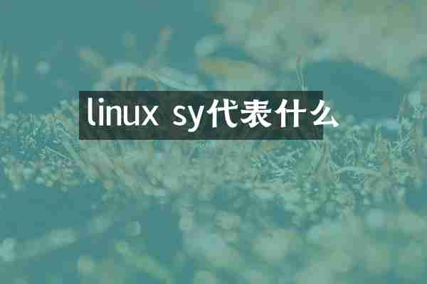 linux sy代表什么