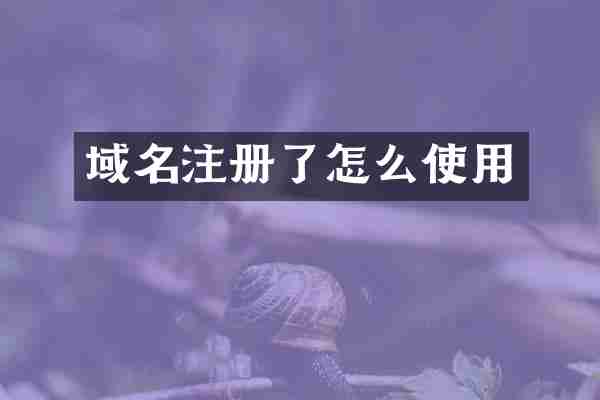 域名注册了怎么使用