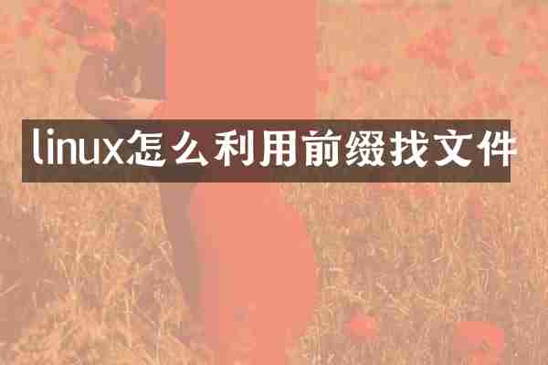 linux怎么利用前缀找文件