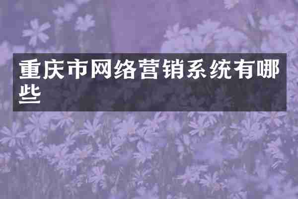 重庆市网络营销系统有哪些