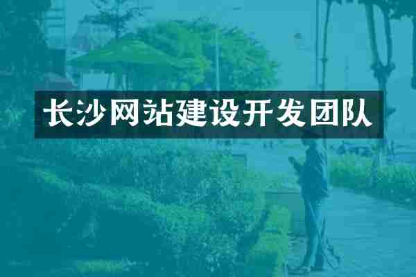 长沙网站建设开发团队