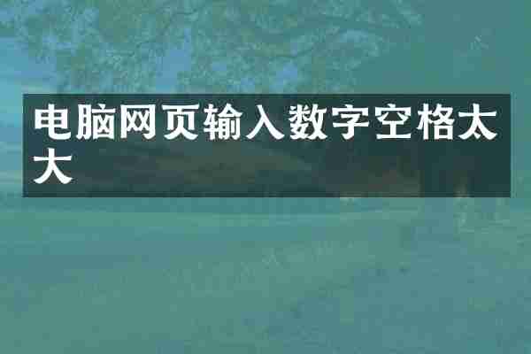 电脑网页输入数字空格太大