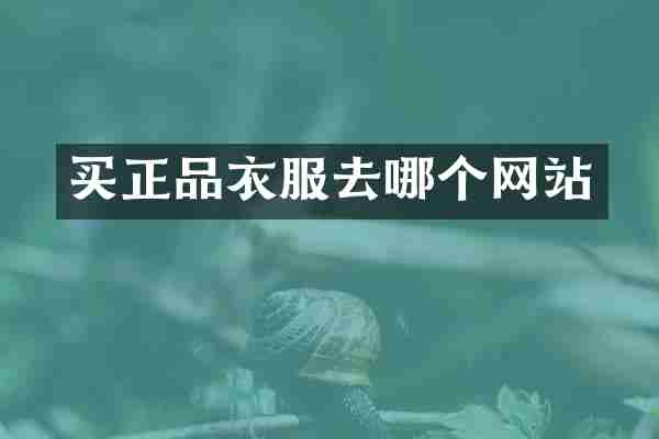 买正品衣服去哪个网站
