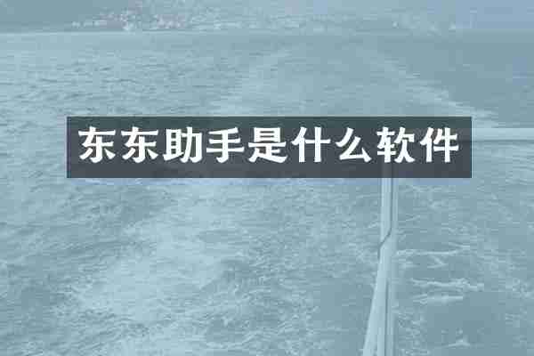 东东助手是什么软件
