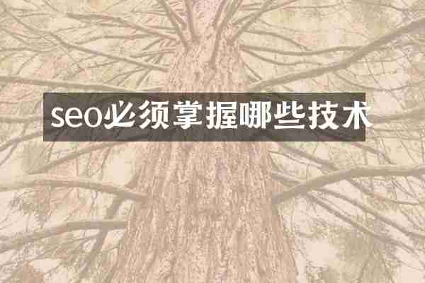 seo必须掌握哪些技术