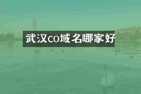 武汉co域名哪家好