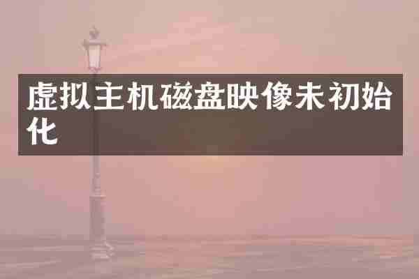 虚拟主机磁盘映像未初始化