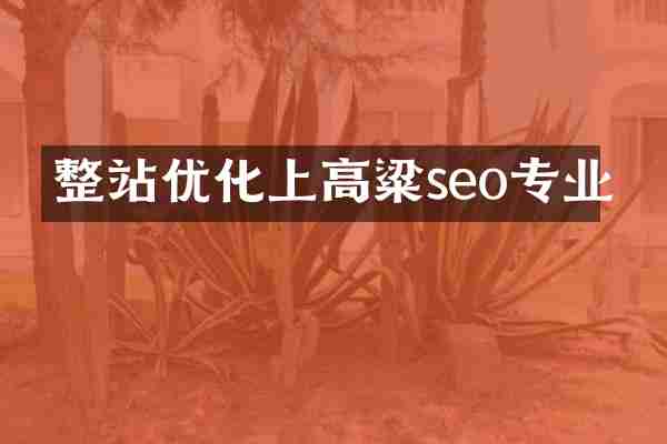 整站优化上高粱seo专业