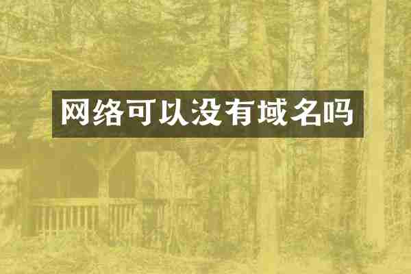 网络可以没有域名吗