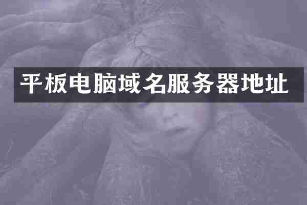 平板电脑域名服务器地址