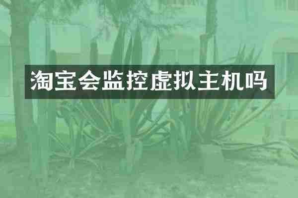 淘宝会监控虚拟主机吗