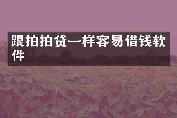 跟拍拍贷一样容易借钱软件
