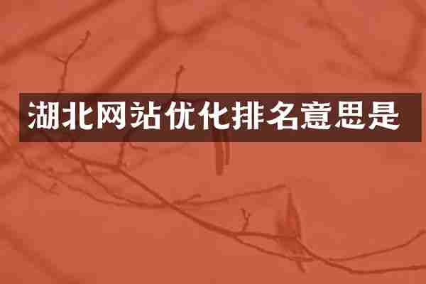 湖北网站优化排名意思是