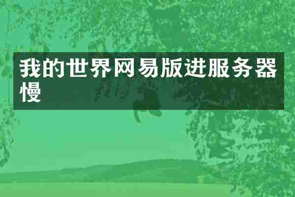我的世界网易版进服务器慢