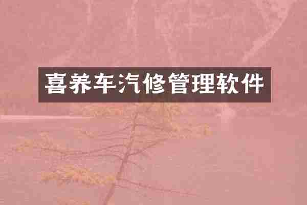 喜养车汽修管理软件