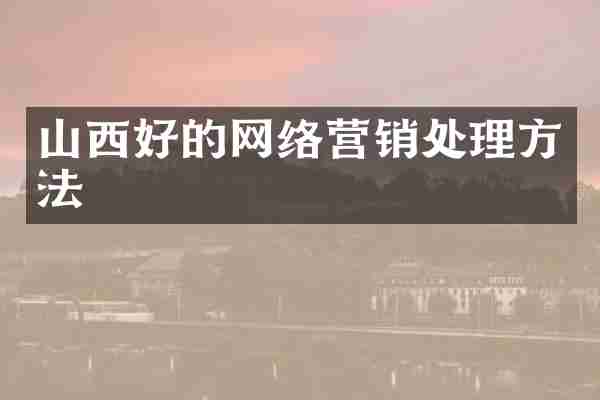 山西好的网络营销处理方法