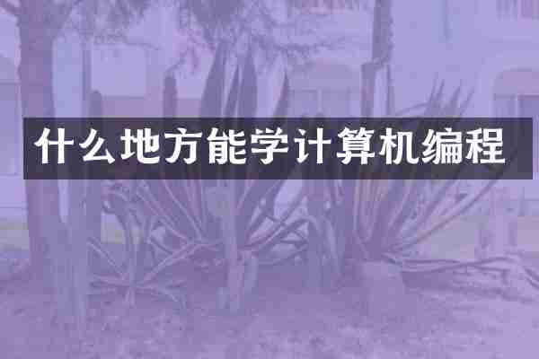 什么地方能学计算机编程