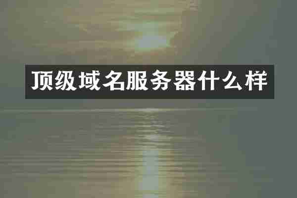 顶级域名服务器什么样
