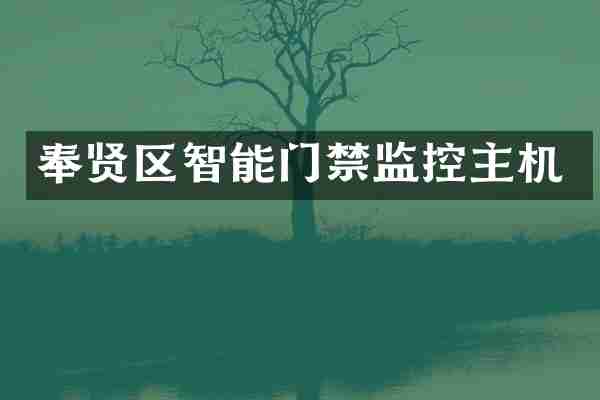 奉贤区智能门禁监控主机