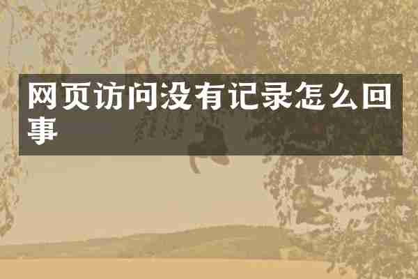 网页访问没有记录怎么回事