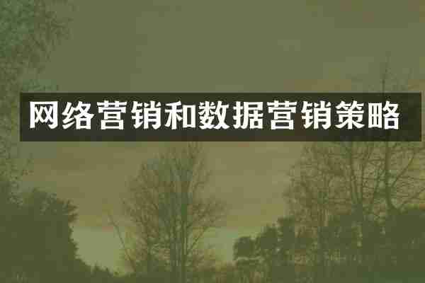 网络营销和数据营销策略