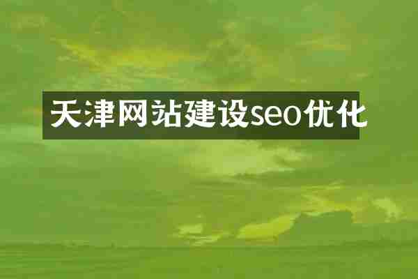 天津网站建设seo优化