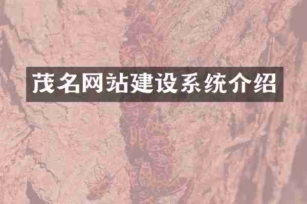茂名网站建设系统介绍