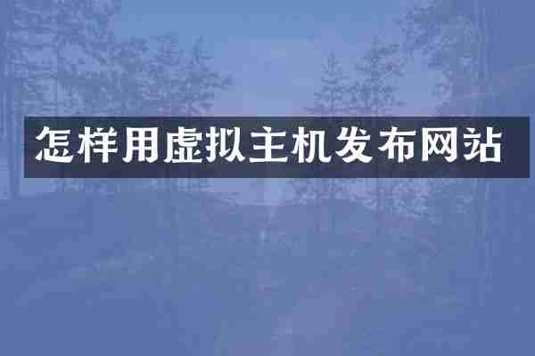 怎样用虚拟主机发布网站