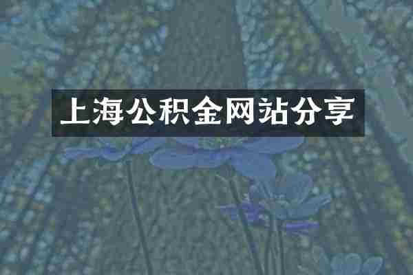 上海公积金网站分享