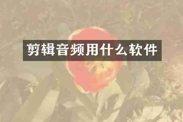 剪辑音频用什么软件