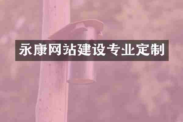 永康网站建设专业定制