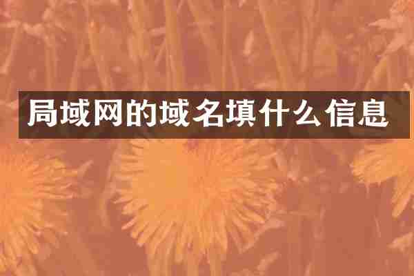 局域网的域名填什么信息