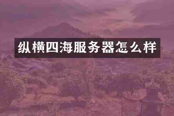 纵横四海服务器怎么样