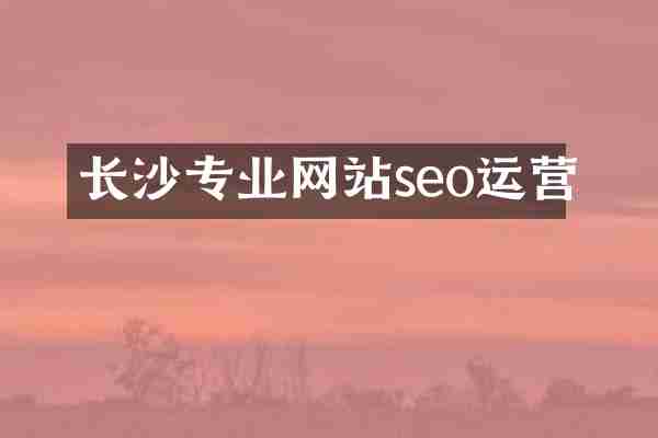 长沙专业网站seo运营