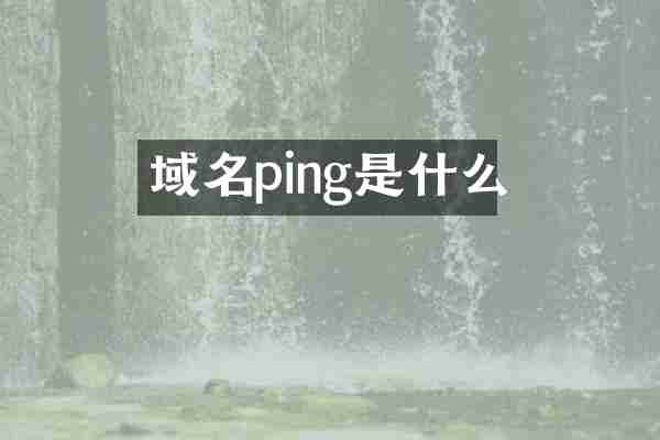 域名ping是什么