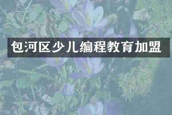 包河区少儿编程教育加盟