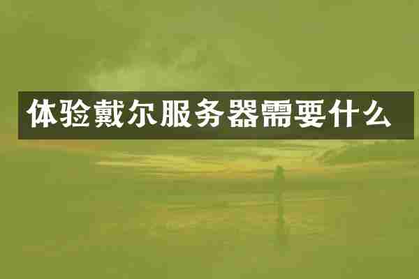 体验戴尔服务器需要什么