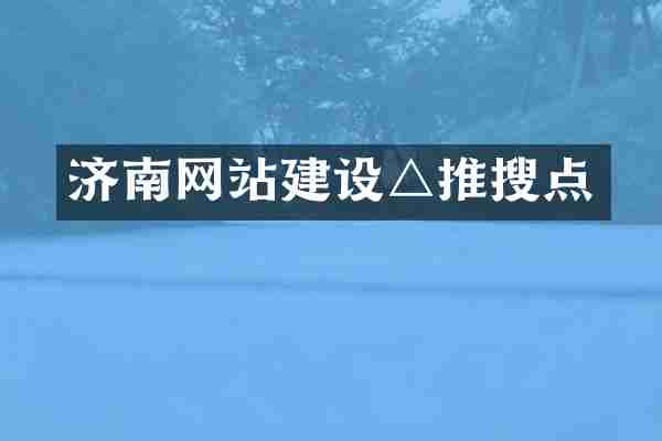 济南网站建设△推搜点