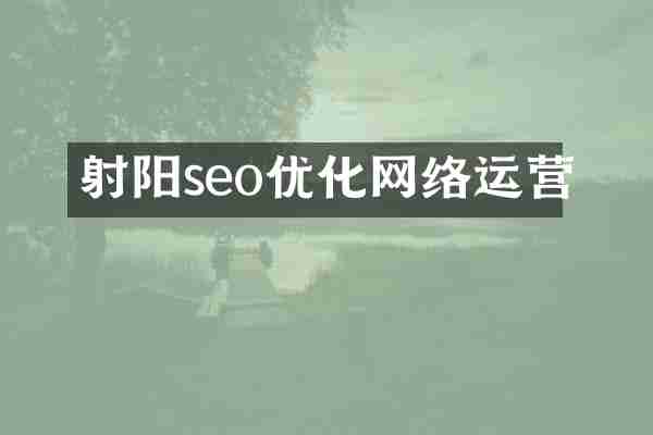 射阳seo优化网络运营