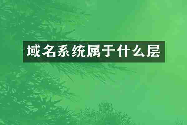 域名系统属于什么层
