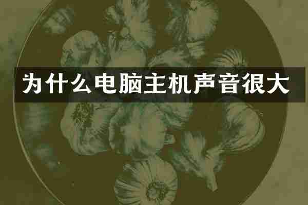 为什么电脑主机声音很大