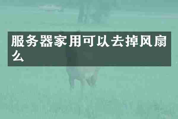 服务器家用可以去掉风扇么